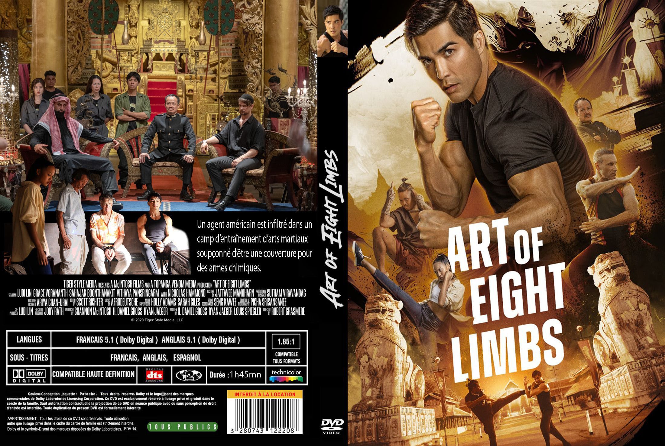 Jaquette DVD Art of Eight Limbs custom