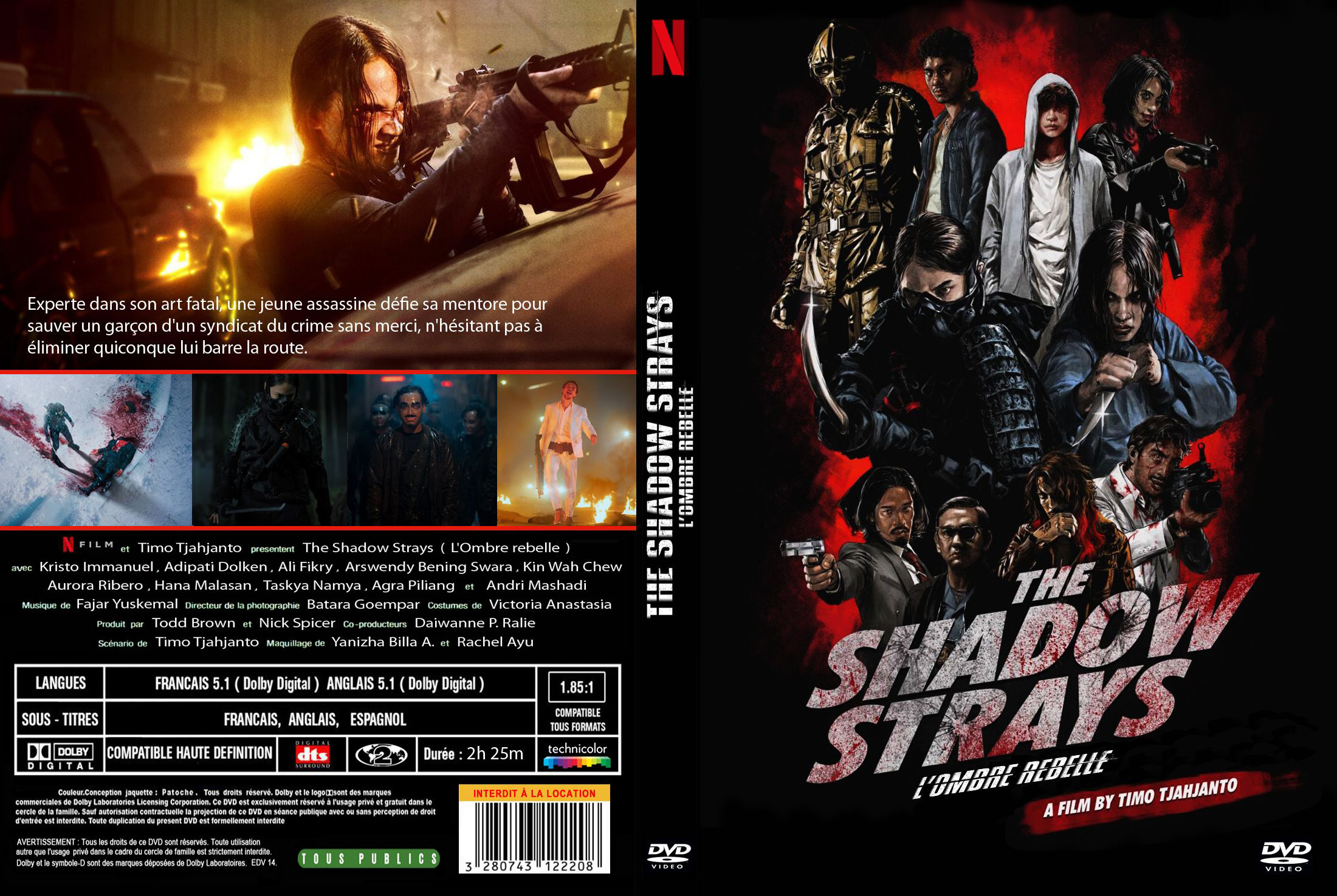 Jaquette DVD The Shadow Strays custom