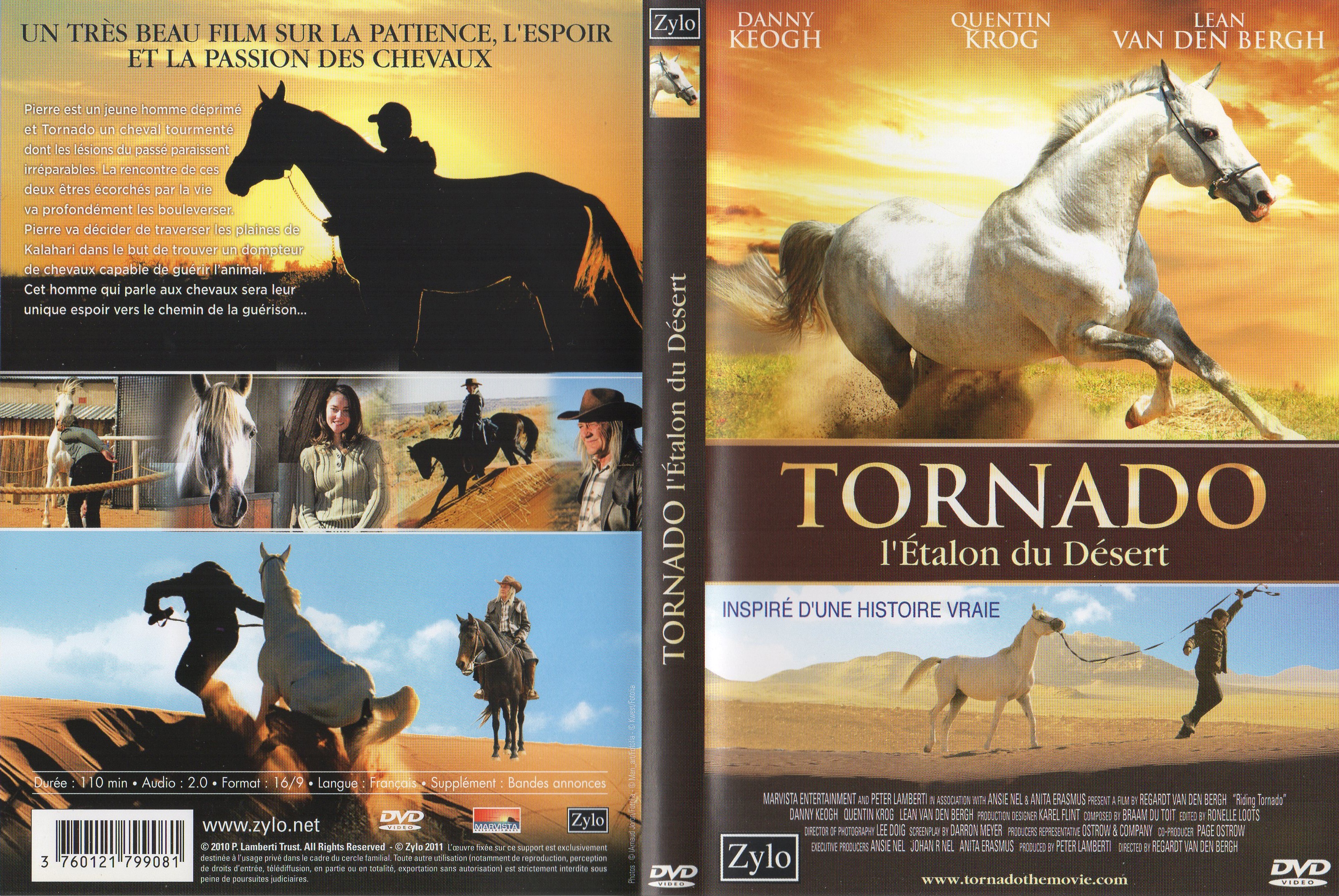 Jaquette DVD Tornado L