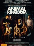 Affiche de Animal Kingdom