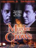 Affiche de Murder of Crows