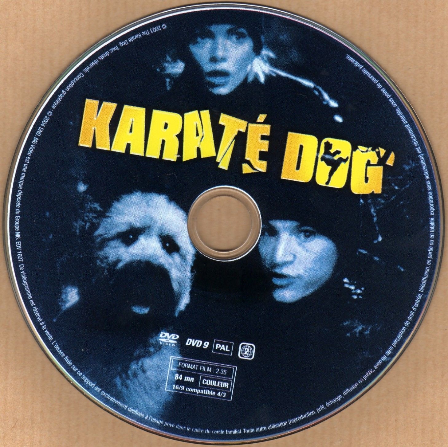 Karate dog